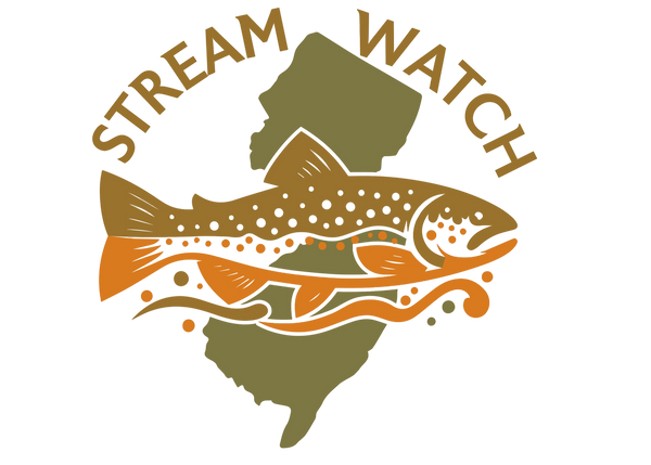 Stream Watch